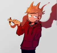 Tord Eddsworld 