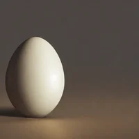 Egg