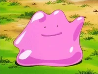Be a Ditto