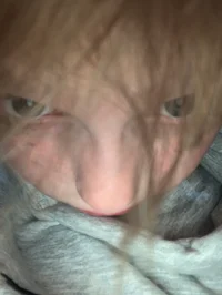 Mee