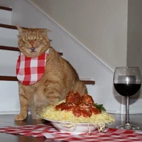Pastacat48