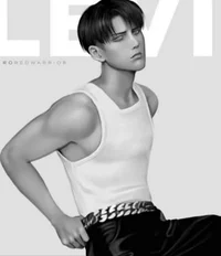 Levi Ackerman 