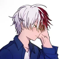 Shoto Todoroki