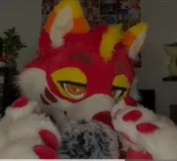 Furry asmr
