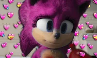 Sydney the hedgehog 