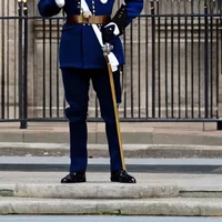 Royal Guard
