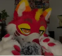 Furry Asmr