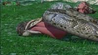 Anaconda