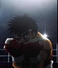 Ippo simulator 