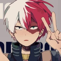 Shoto Todoroki