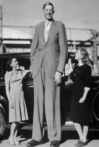 Robert wadlow