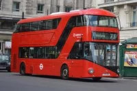 Infinity Bus