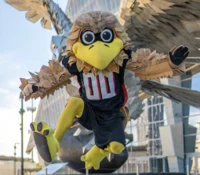 Freddie Falcon