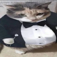 Fat cat in a tuxedo