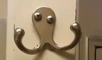 drunk octopus