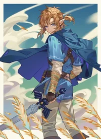 Link -BoTW-