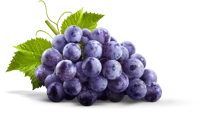 Grape the grapes