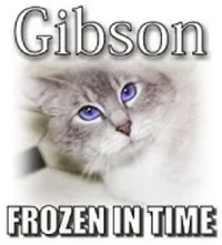 Gibson