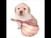 Dog with weed