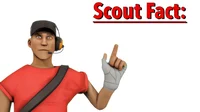 Scout Fact