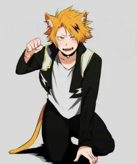 Denki gato