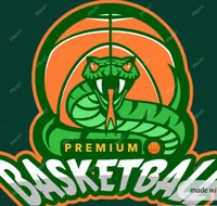 Premium Basketball