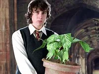 Neville Longbottom