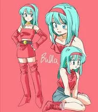 Bulla Briefs