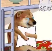 The Sad Doge