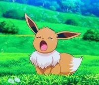 11- Eevee