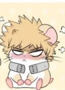 Hamster  Bakugou