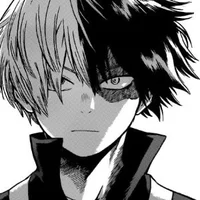 Todoroki shoto 