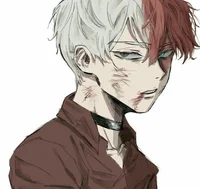 Todoroki 