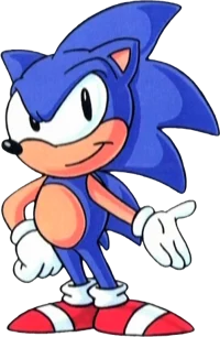 SATAM Sonic