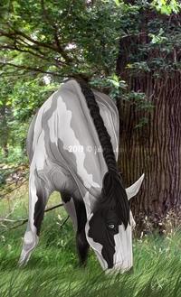 Corset el caballo
