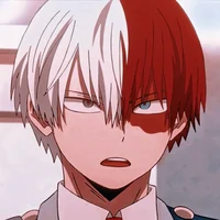 Shoto Todoroki 