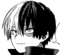 Shoto Todoroki 