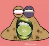 Lime pou