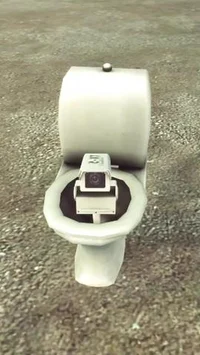 Spy toilet