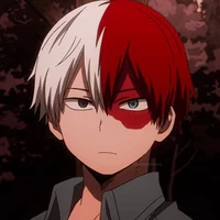 Shoto Todoroki 