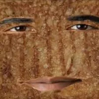 Obama Sandwhich