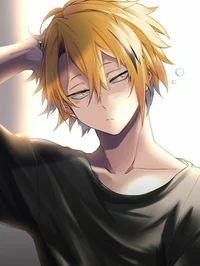 Namorado denki