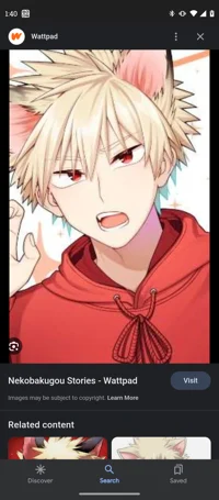 Cat Bakugo