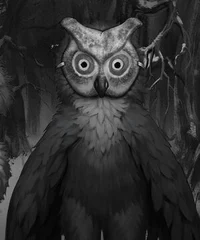 Owl