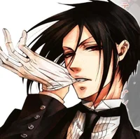 Sebastian Michaelis 