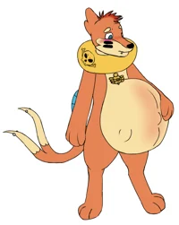 Pregnant Buizel