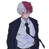 Shoto Todoroki 