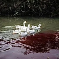 Horror Fantasy RPG