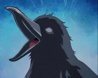Kasugai Crow