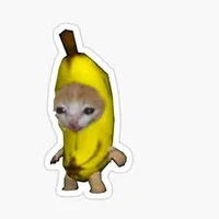 Banana cat